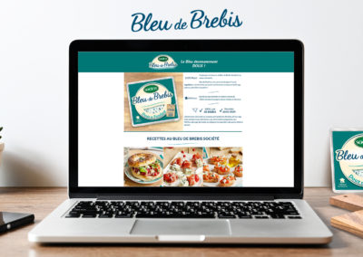 Page web bleu de brebis société