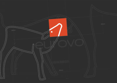 MOTION DESIGN EUROVO